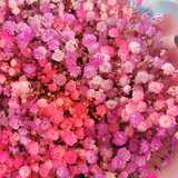 Rainbow-Dreams online florist