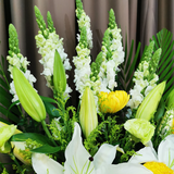 Flower KL