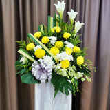 Flower KL