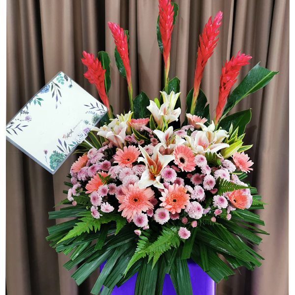 opening stand6 online florist
