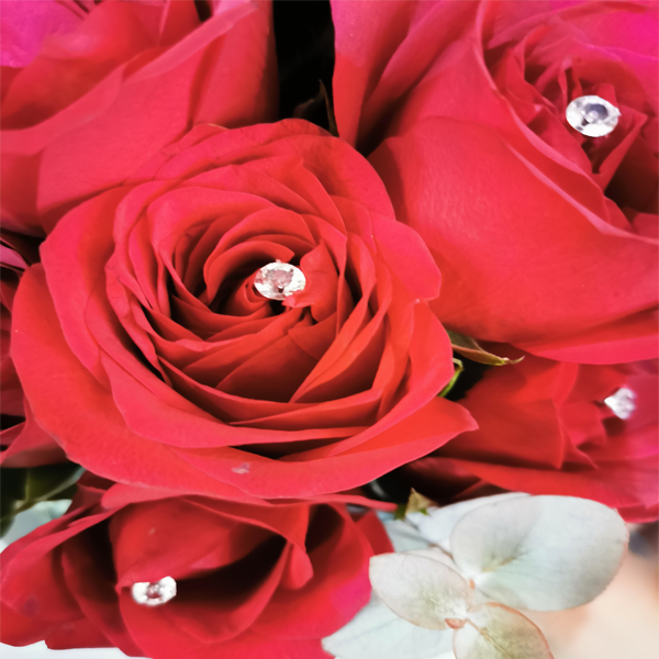 Queen's Gambit rose bouquet