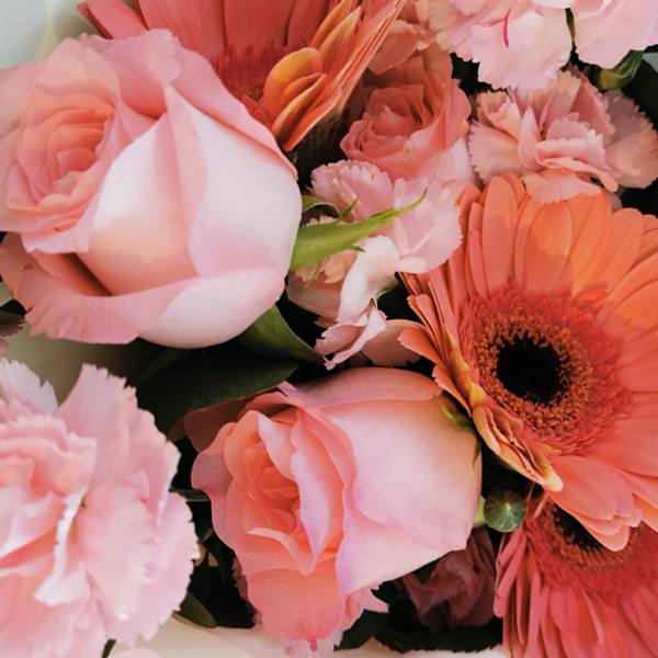 I'm Yours roses