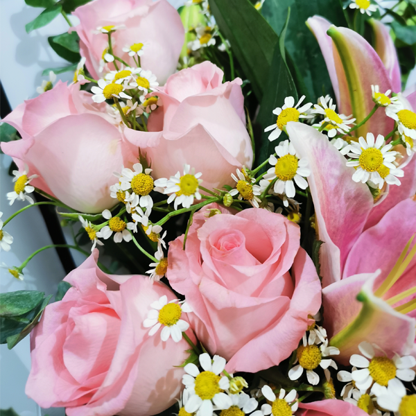 Flower KL